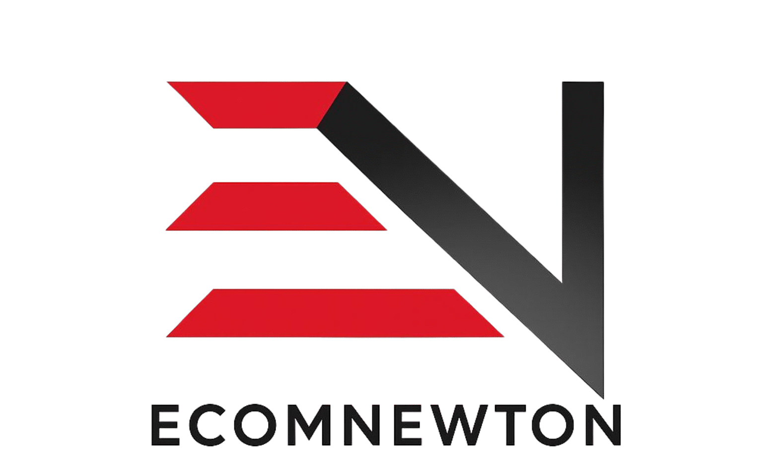 Ecom Newton logo transparent